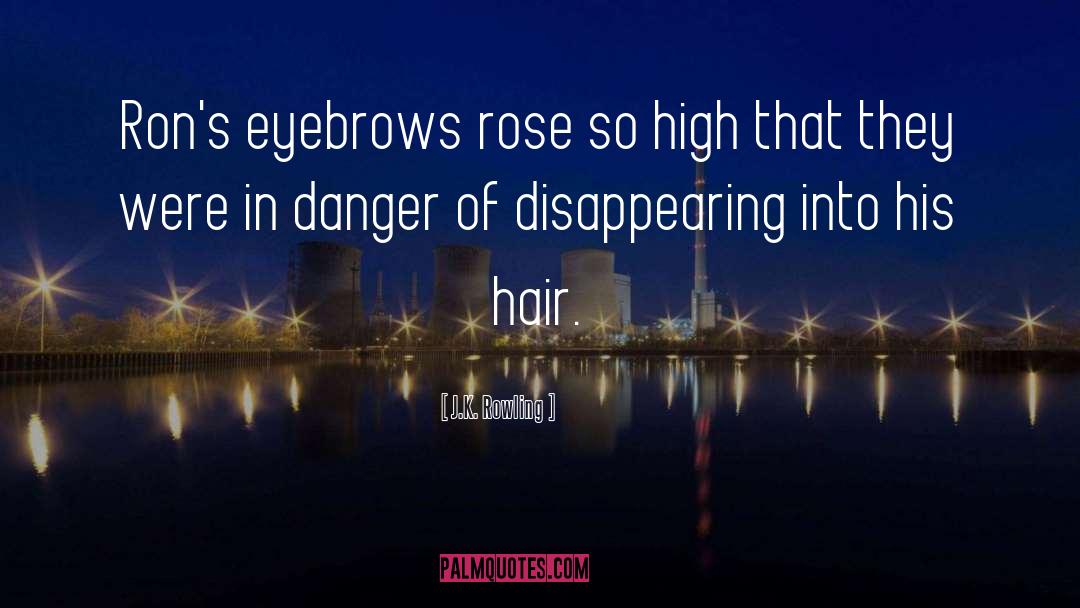 Hair Bands quotes by J.K. Rowling