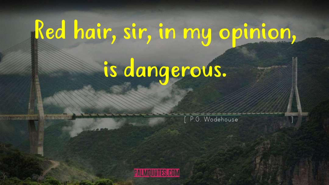 Hair Calligraphy quotes by P.G. Wodehouse
