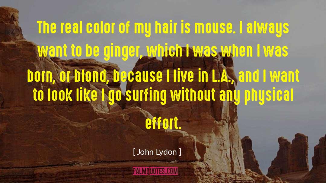 Hair Color quotes by John Lydon