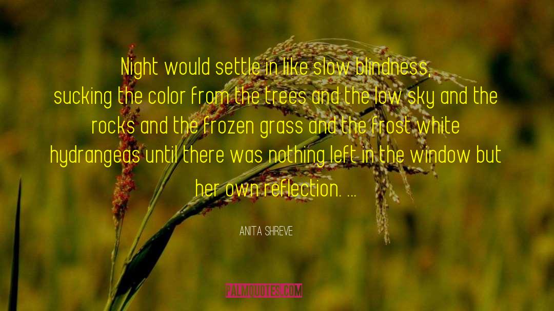 Hair Color quotes by Anita Shreve