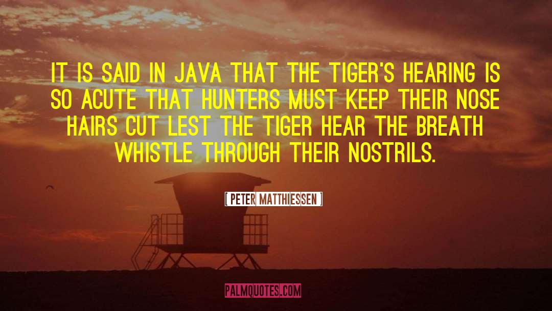 Hair Cut quotes by Peter Matthiessen
