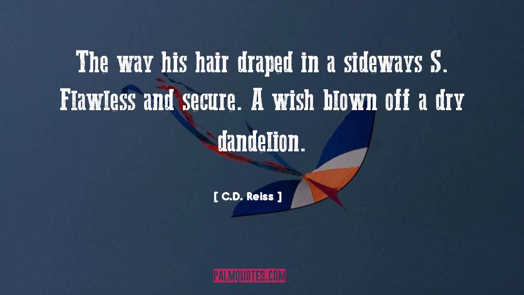 Hair Dryers quotes by C.D. Reiss