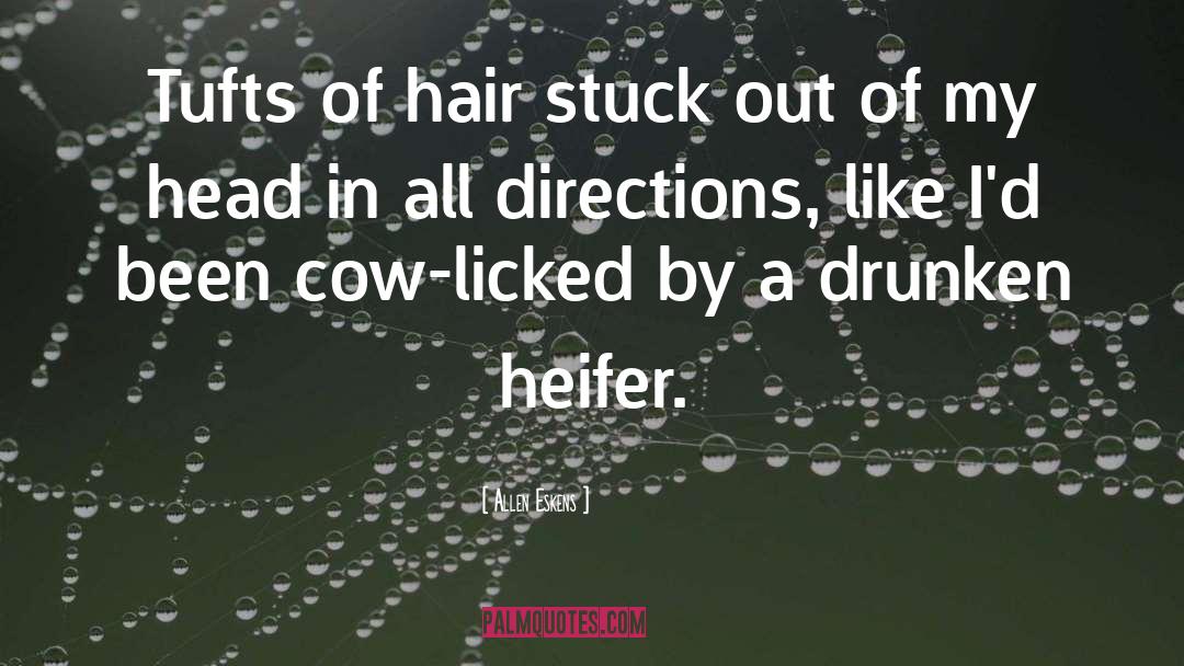 Hair Dryers quotes by Allen Eskens