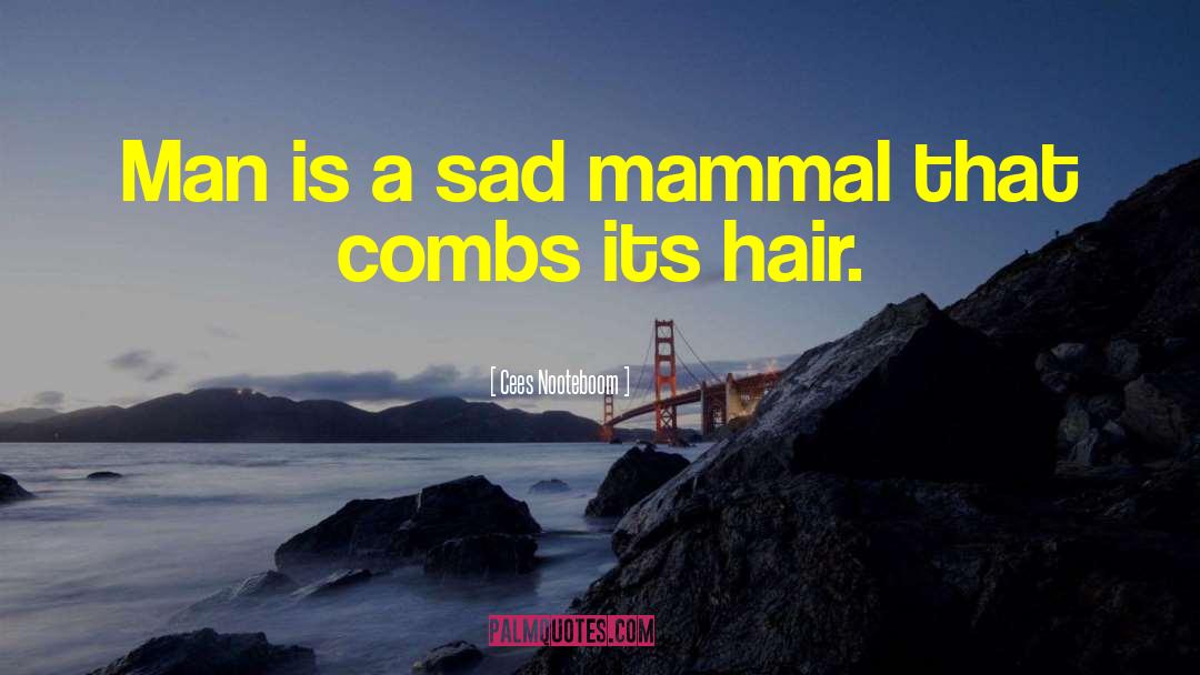 Hair Loving quotes by Cees Nooteboom