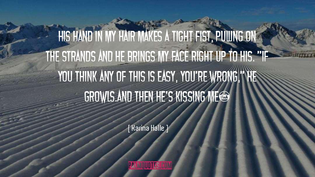 Hair On My Face quotes by Karina Halle