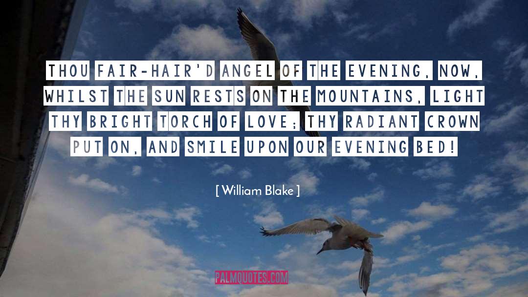Hair Products quotes by William Blake