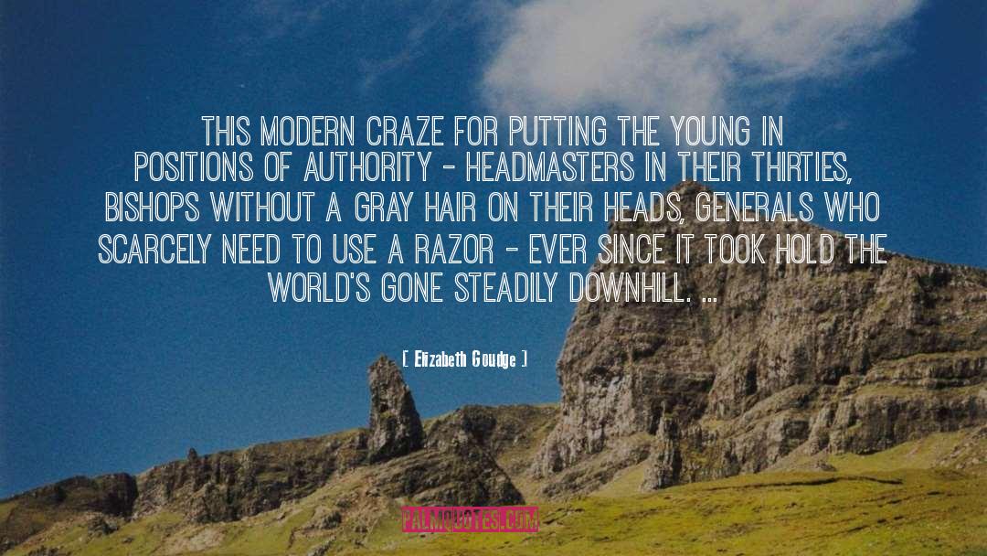 Hair quotes by Elizabeth Goudge