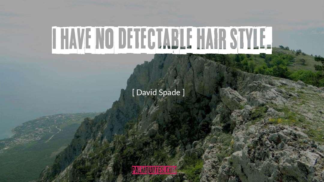 Hair Style quotes by David Spade
