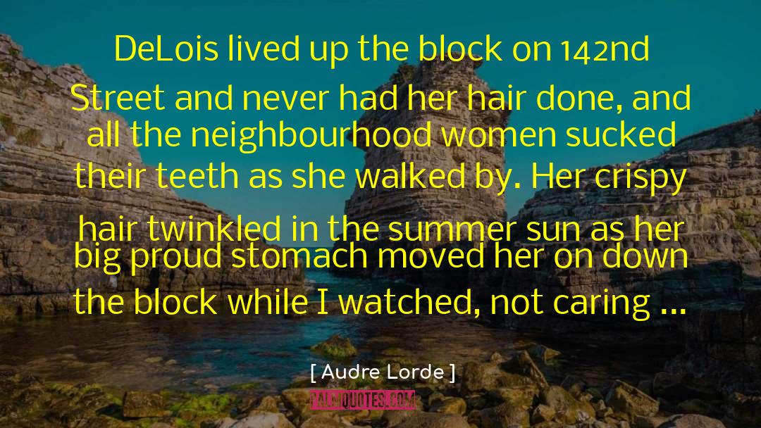 Hair Stylist quotes by Audre Lorde