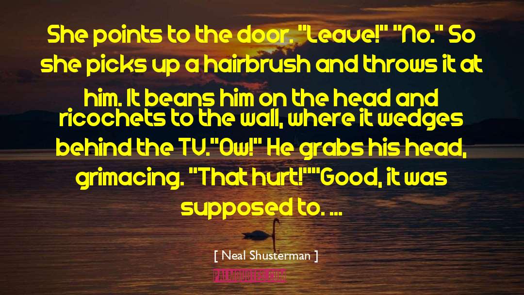 Hairbrush quotes by Neal Shusterman