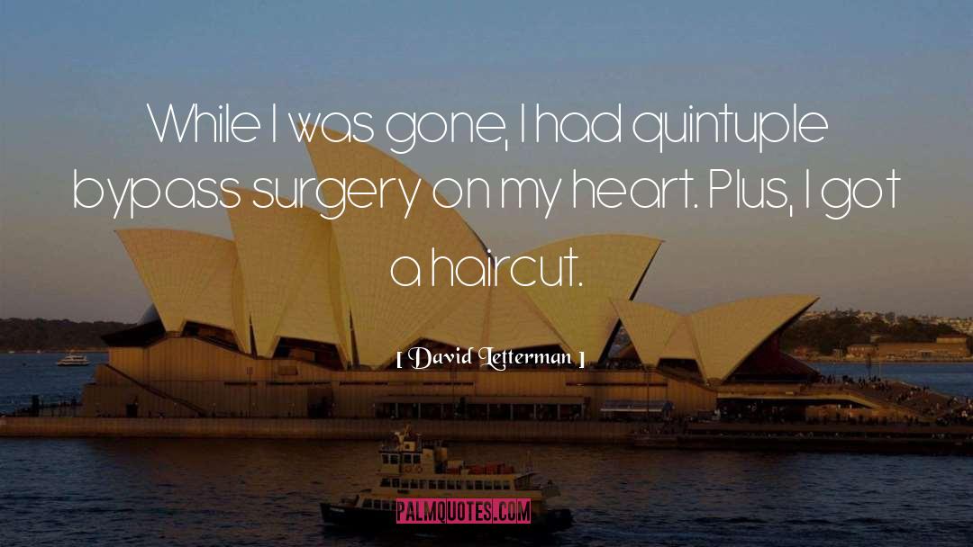 Haircut quotes by David Letterman