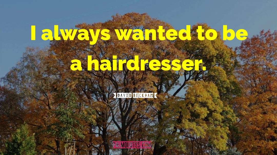 Hairdresser quotes by David Beckham