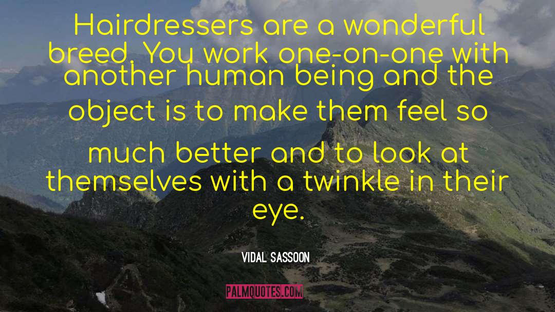 Hairdresser quotes by Vidal Sassoon