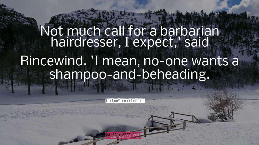 Hairdresser quotes by Terry Pratchett