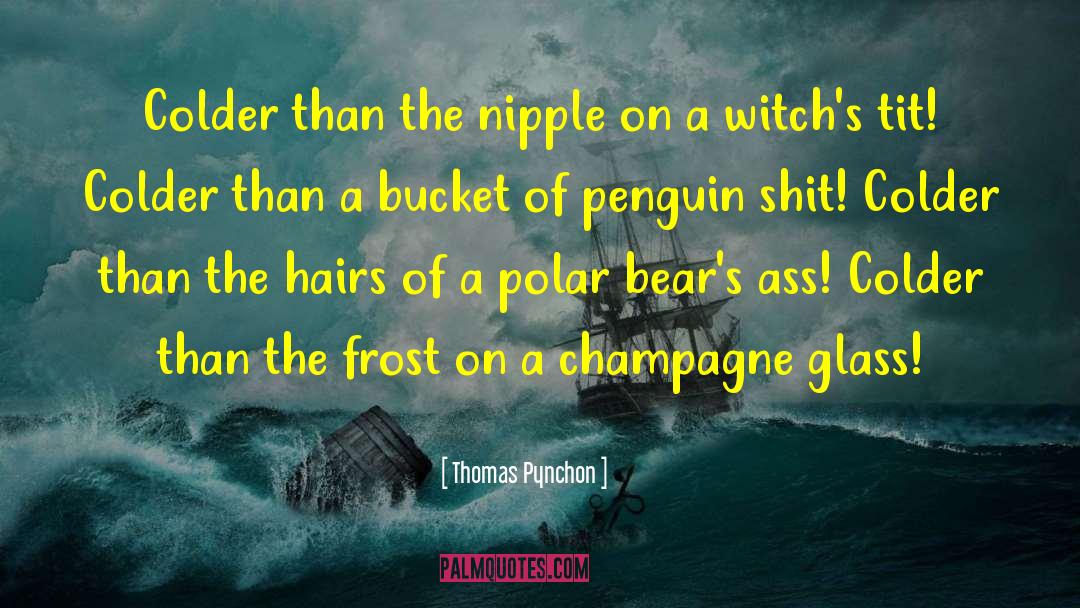 Hairs quotes by Thomas Pynchon