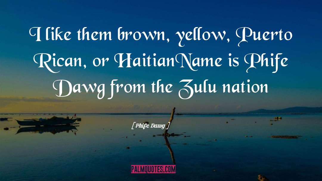 Haitian Dyaspora quotes by Phife Dawg