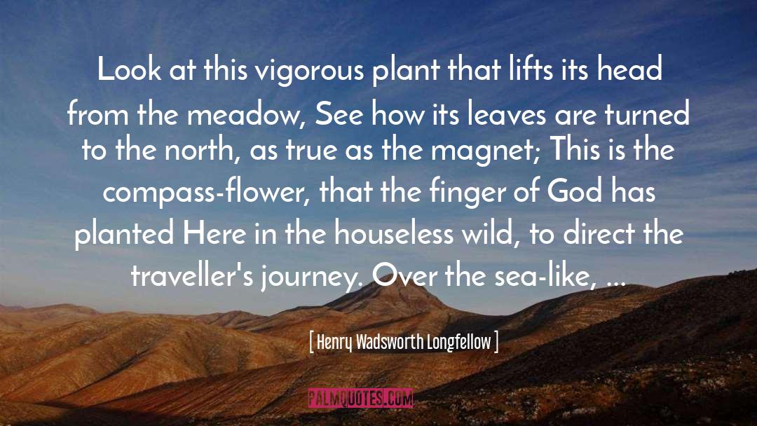 Haizea Flower quotes by Henry Wadsworth Longfellow