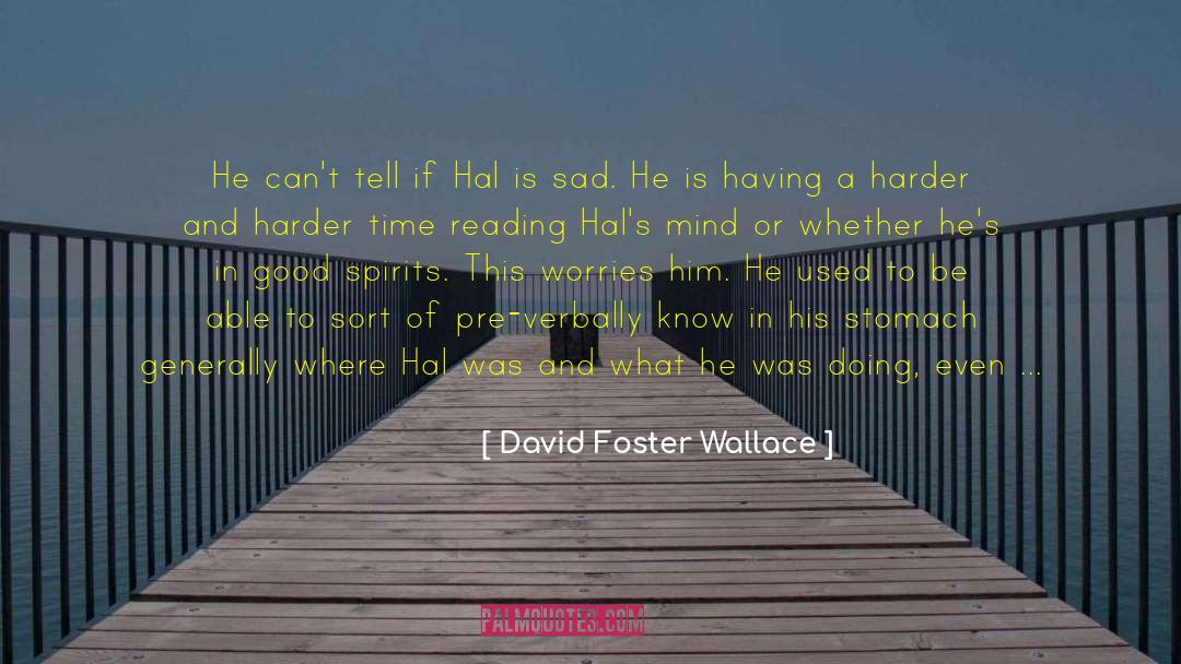 Hal Incandenza Tennis Mario quotes by David Foster Wallace