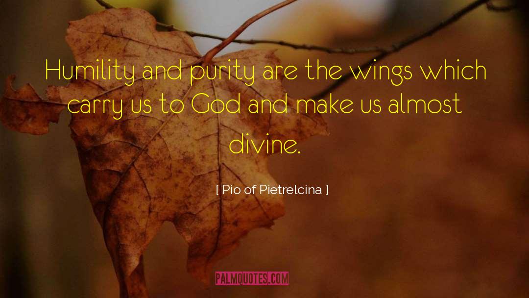 Halcyon Wings quotes by Pio Of Pietrelcina