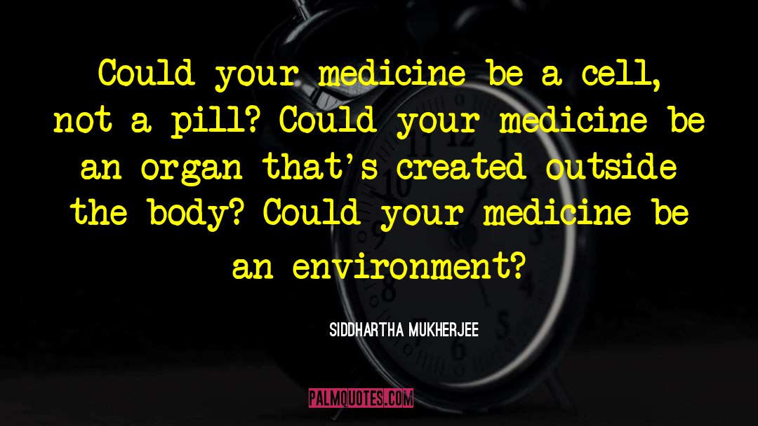 Haldol Medicine quotes by Siddhartha Mukherjee