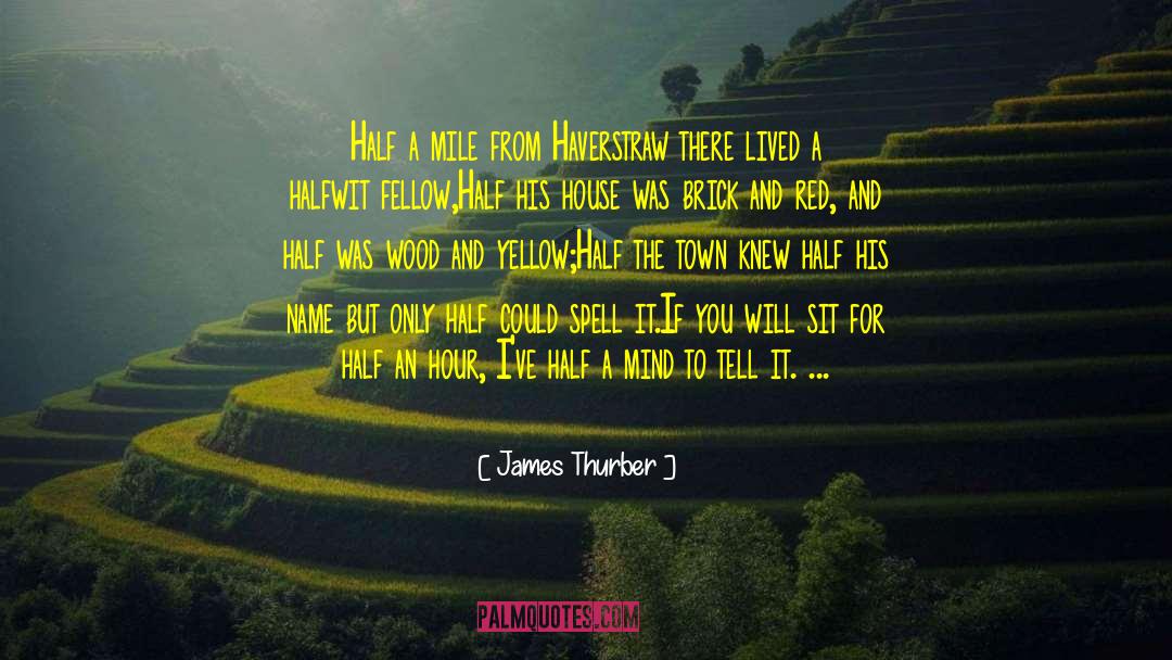 Half A Mind quotes by James Thurber