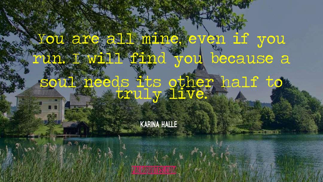 Half Drunk quotes by Karina Halle