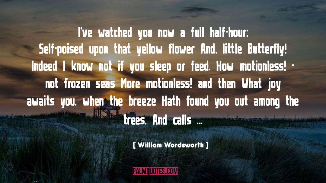 Half Hours quotes by William Wordsworth