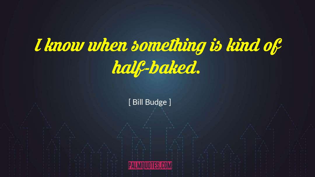 Half Insights quotes by Bill Budge