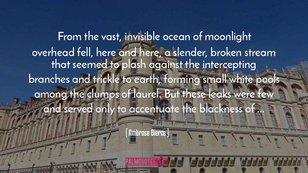 Half Moon Investigations quotes by Ambrose Bierce