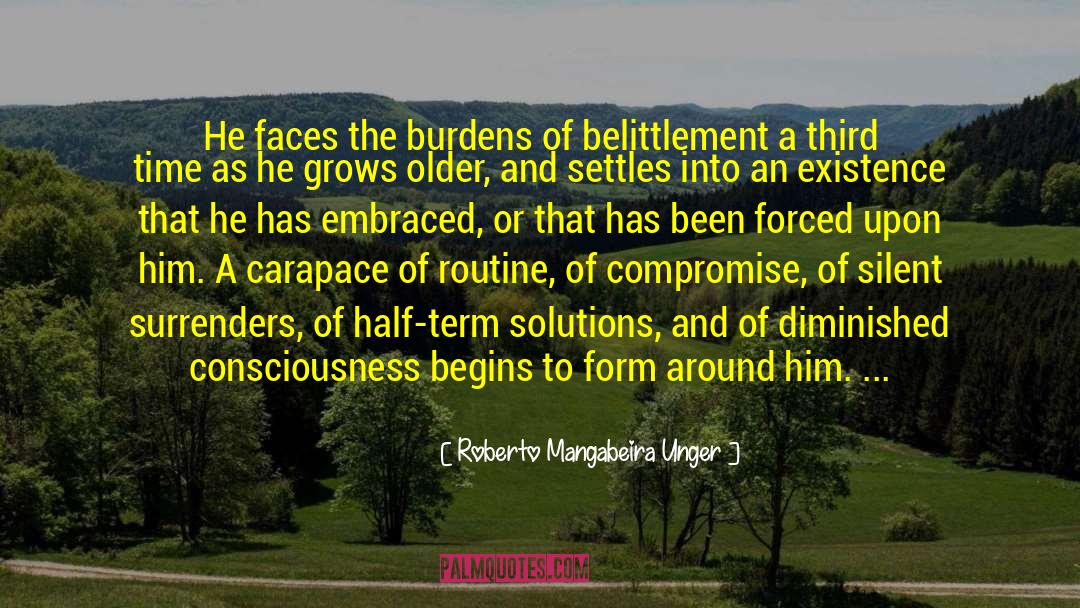Half Sleeve quotes by Roberto Mangabeira Unger