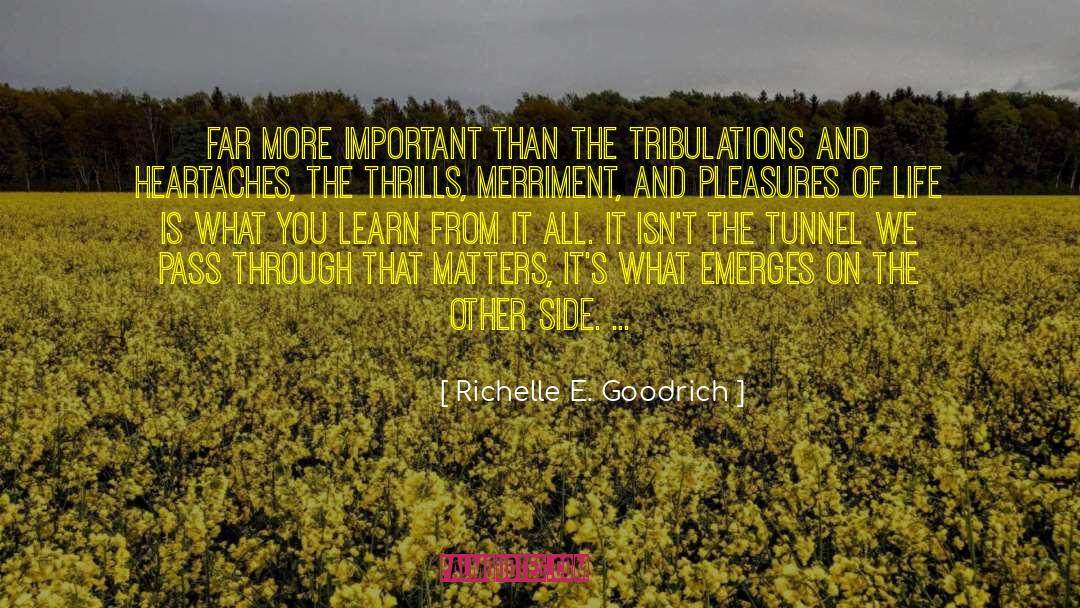 Halfpipe Thrills quotes by Richelle E. Goodrich