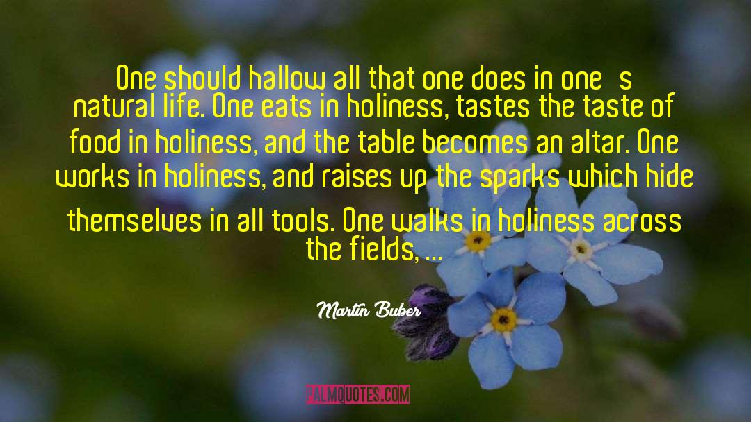 Hallow quotes by Martin Buber