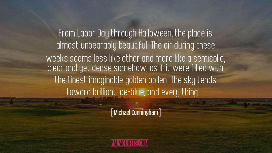 Halloween Hairdressing quotes by Michael Cunningham