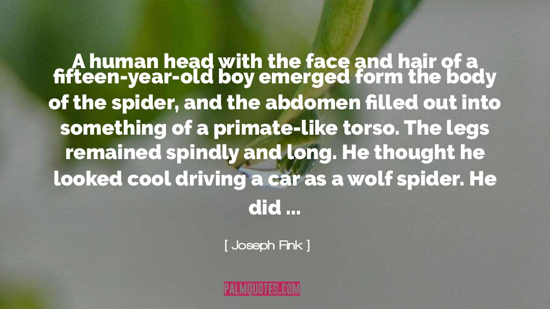Halloween Spider quotes by Joseph Fink
