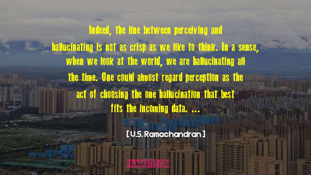 Hallucinating quotes by V.S. Ramachandran