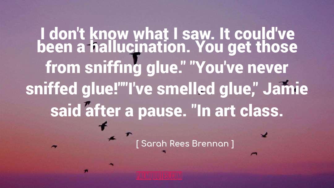 Hallucination quotes by Sarah Rees Brennan