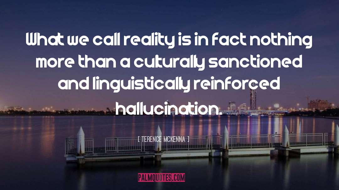 Hallucination quotes by Terence McKenna