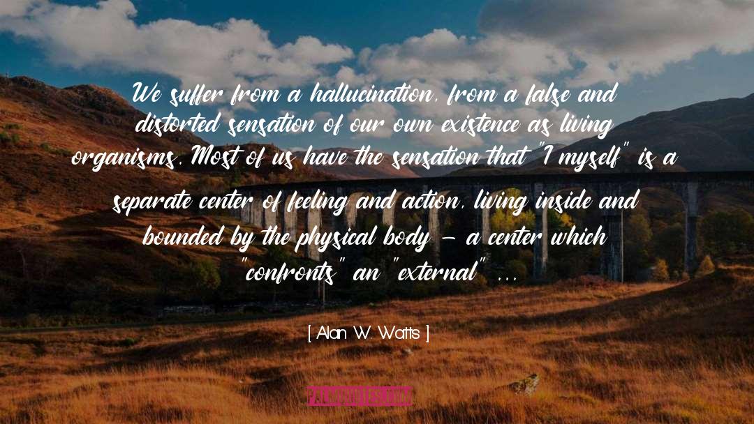 Hallucination quotes by Alan W. Watts