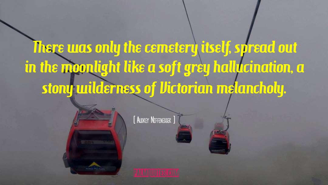 Hallucination quotes by Audrey Niffenegger