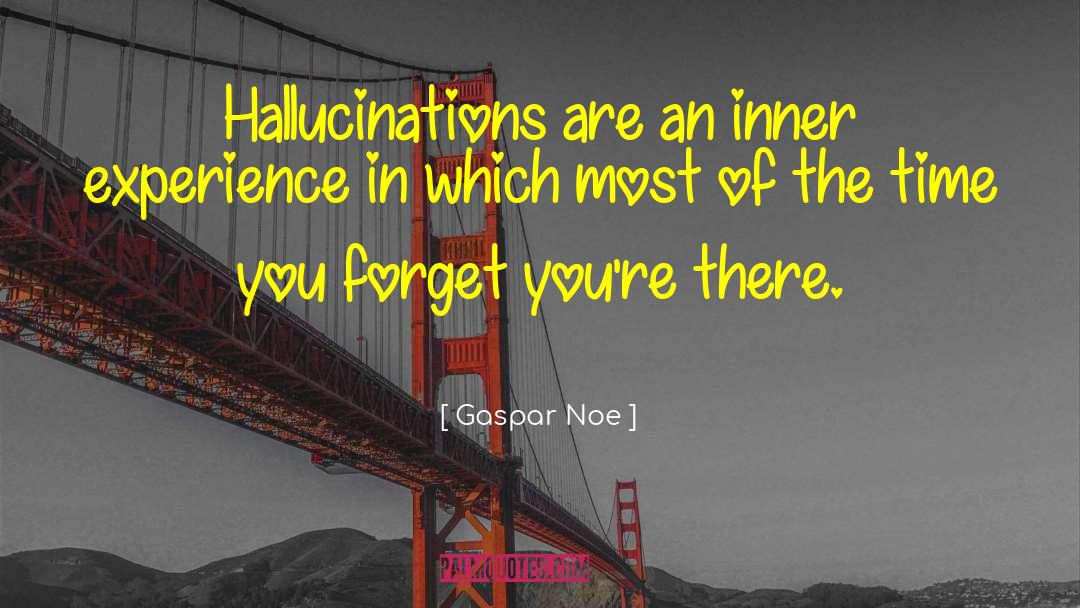 Hallucinations quotes by Gaspar Noe