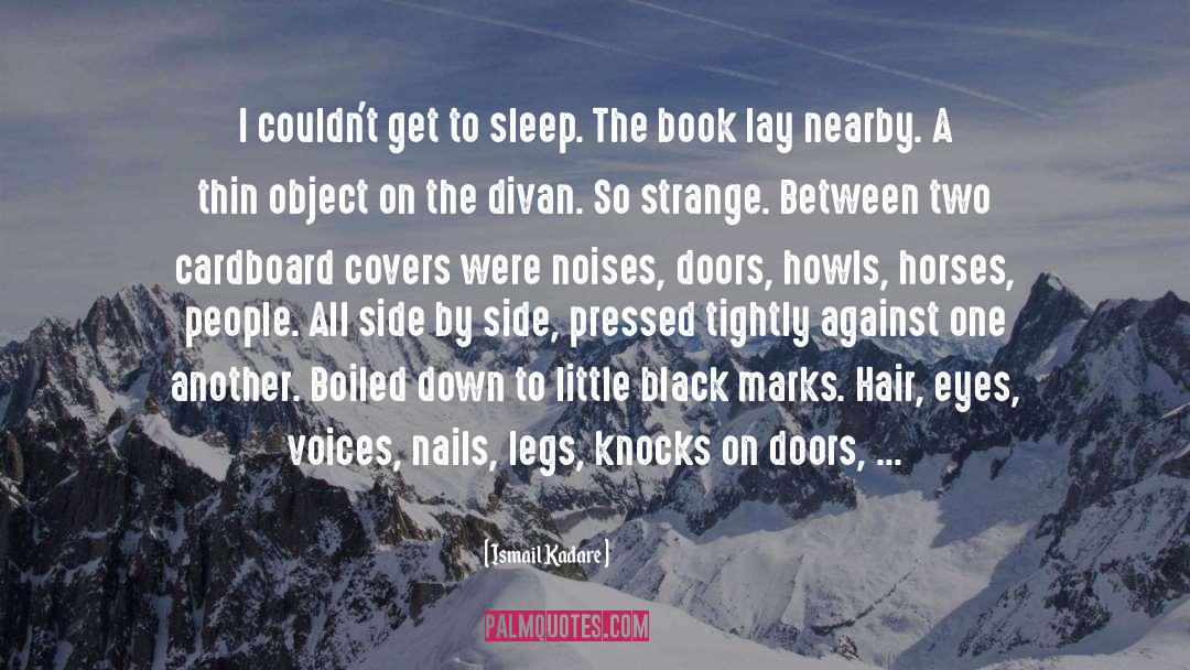 Hallucinations Sleep quotes by Ismail Kadare