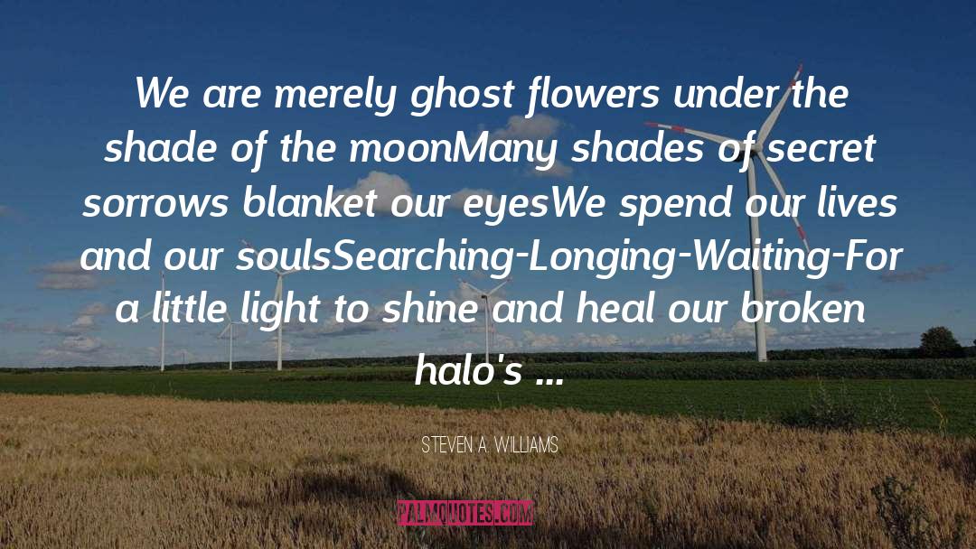 Halos quotes by Steven A. Williams