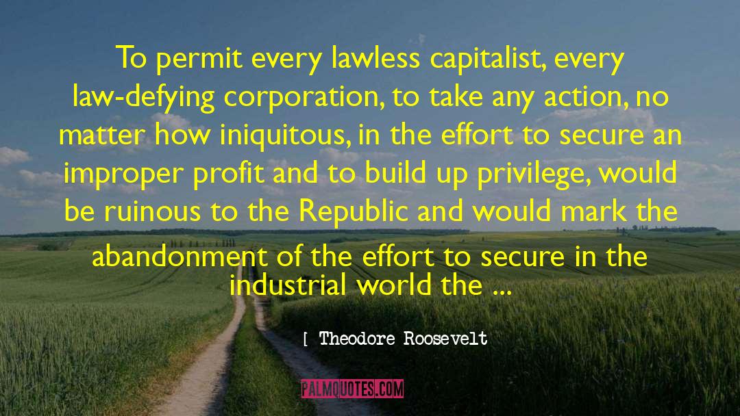 Hamaya Corporation quotes by Theodore Roosevelt