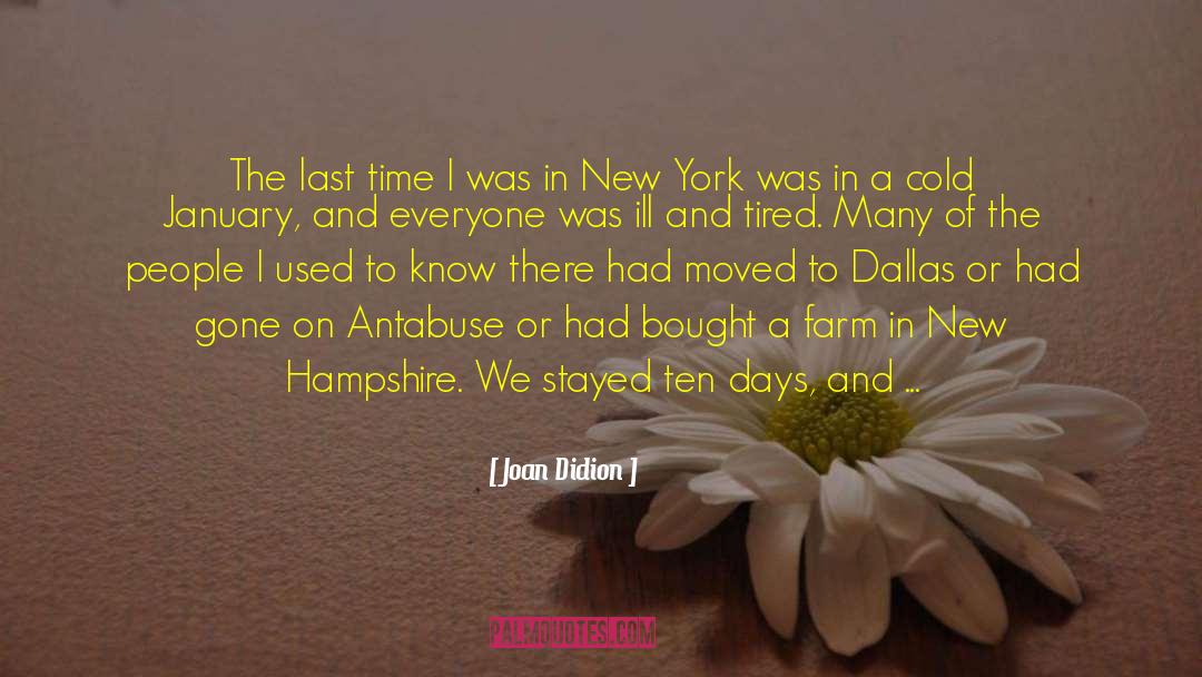 Hampshire quotes by Joan Didion