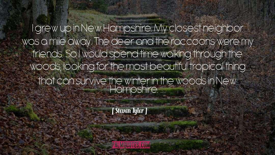 Hampshire quotes by Steven Tyler