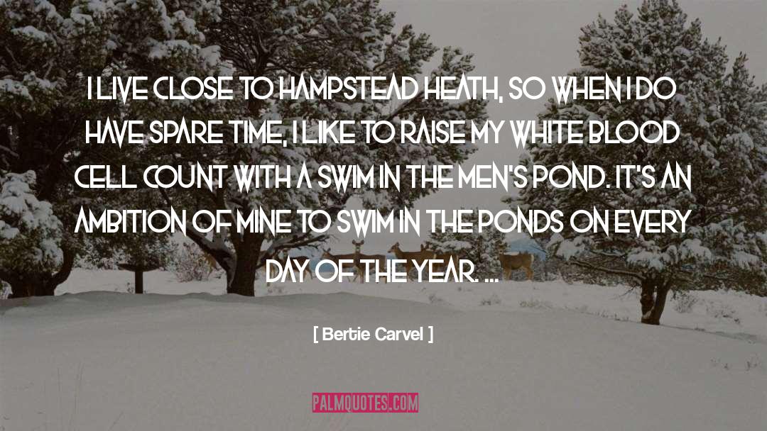 Hampstead Heath quotes by Bertie Carvel