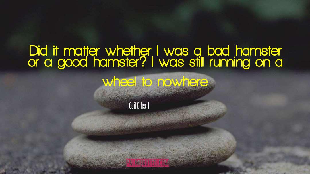 Hamster Motivational quotes by Gail Giles