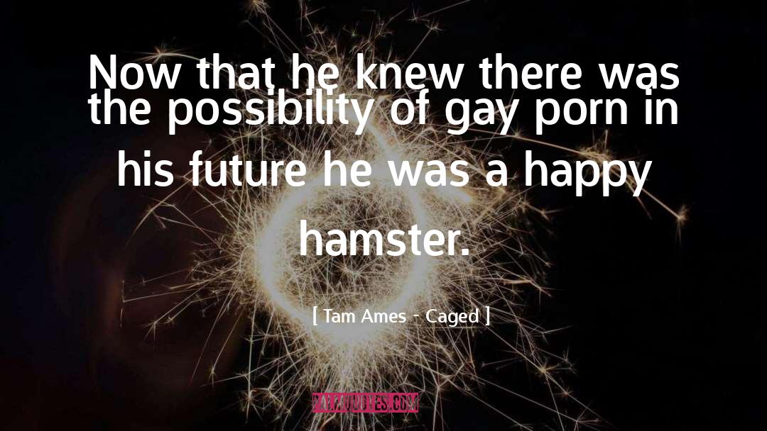 Hamster Motivational quotes by Tam Ames - Caged