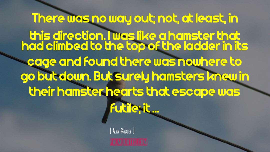 Hamster Motivational quotes by Alan Bradley