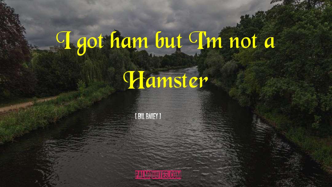 Hamster Motivational quotes by Bill Bailey